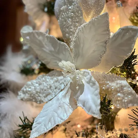 The Hidden Bank: Silver Bullet Apartment Plowdiw