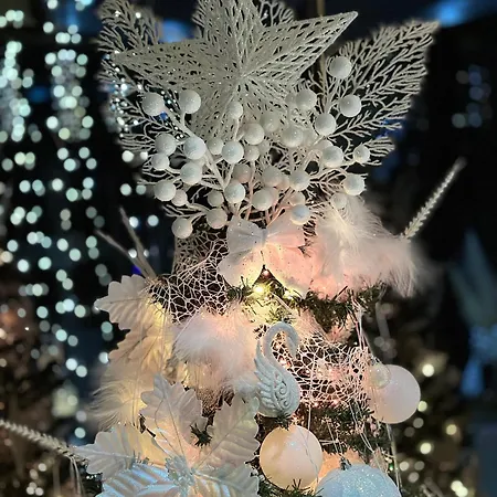 The Hidden Bank: Silver Bullet بلوفديف