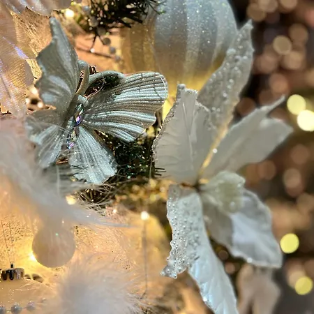 The Hidden Bank: Silver Bullet * 普罗夫迪夫